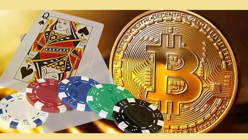 Ranking the Newest Bookmakers by Bonuses, Odds & More