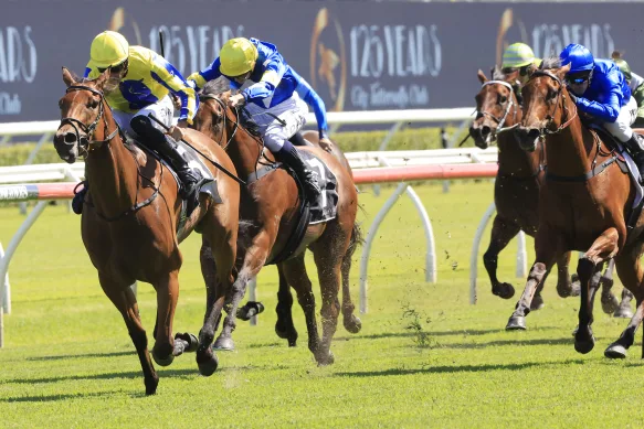 How Horse Racing Betting Odds Work and What They Really Mean