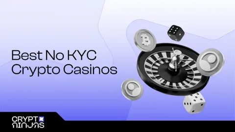 Anonymous Gaming: 2025’s Leading No KYC Crypto Casino Platforms