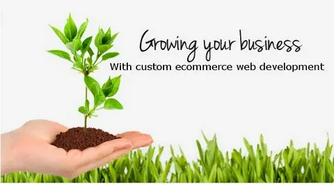 Developing a Professional Website for Sustainable Growth
